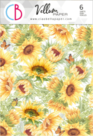 Vellum 6pack - FarmHouse Garden